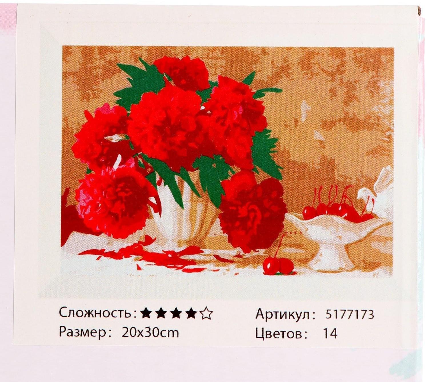 Картина по номерам на холсте с подрамником «Розовые пионы», 30х20 см