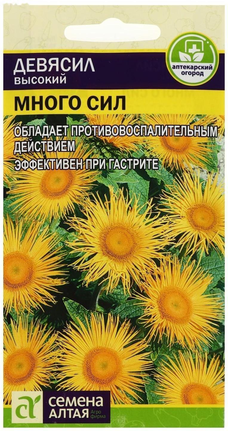 Семена цветов Девясил 