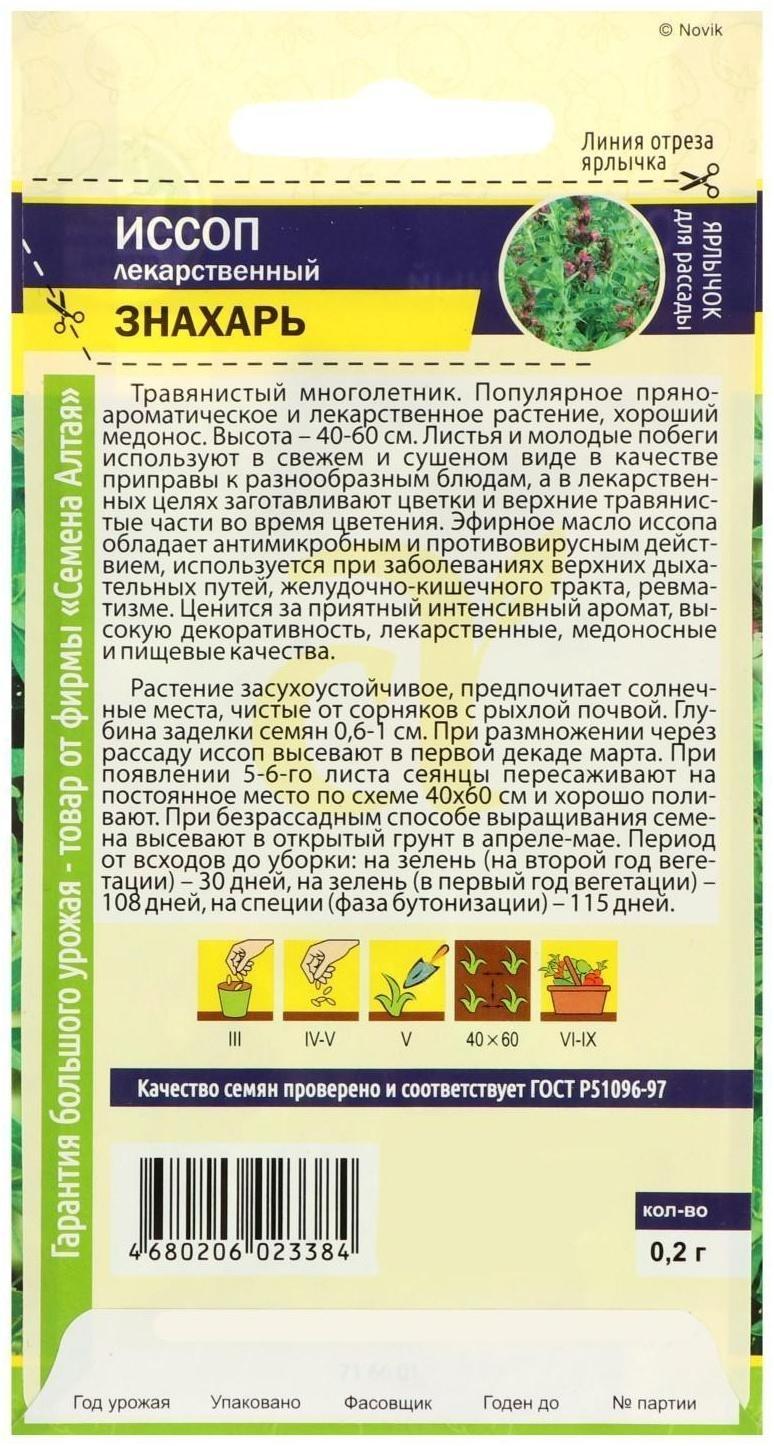 Семена  Иссоп 