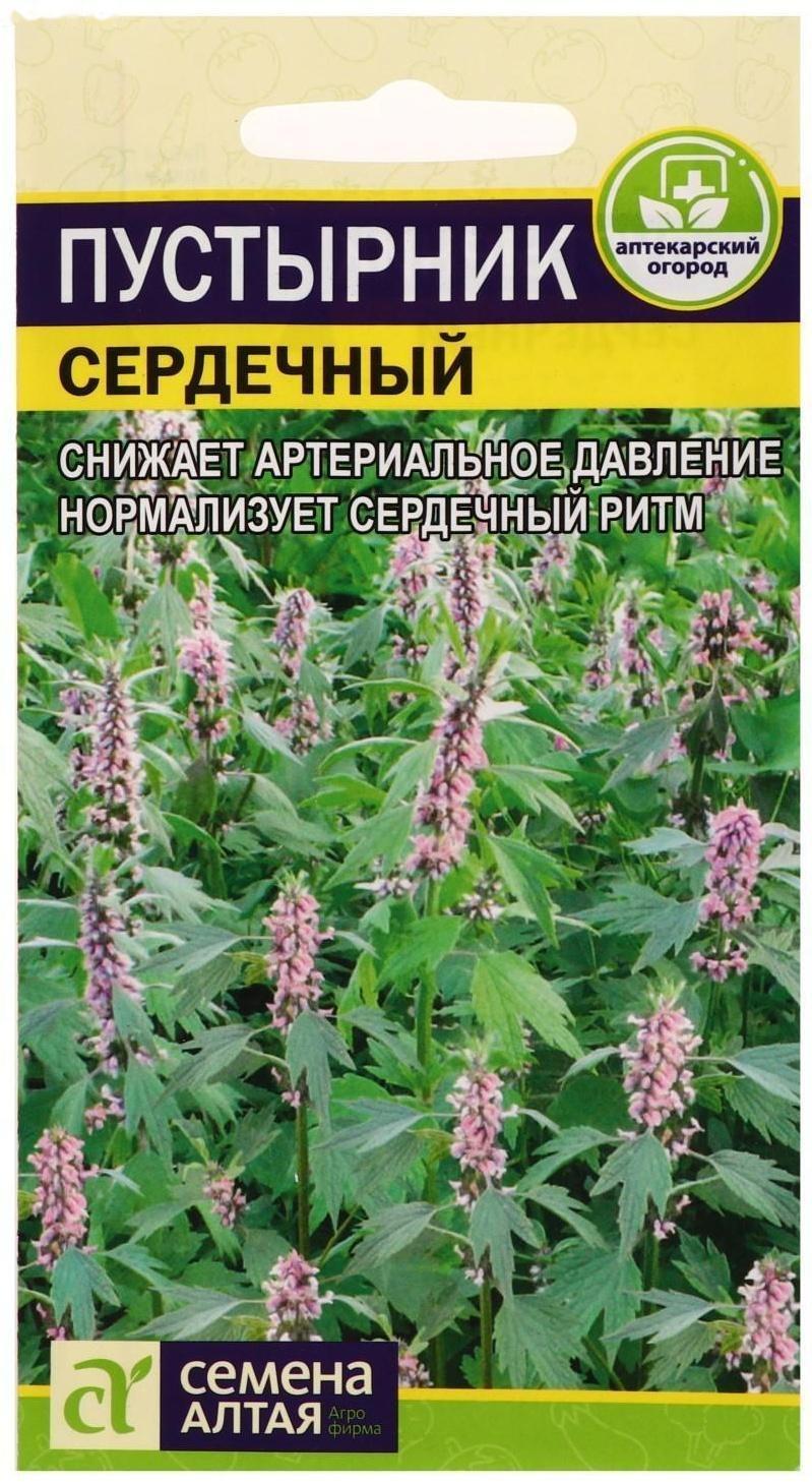 Семена  Пустырник 