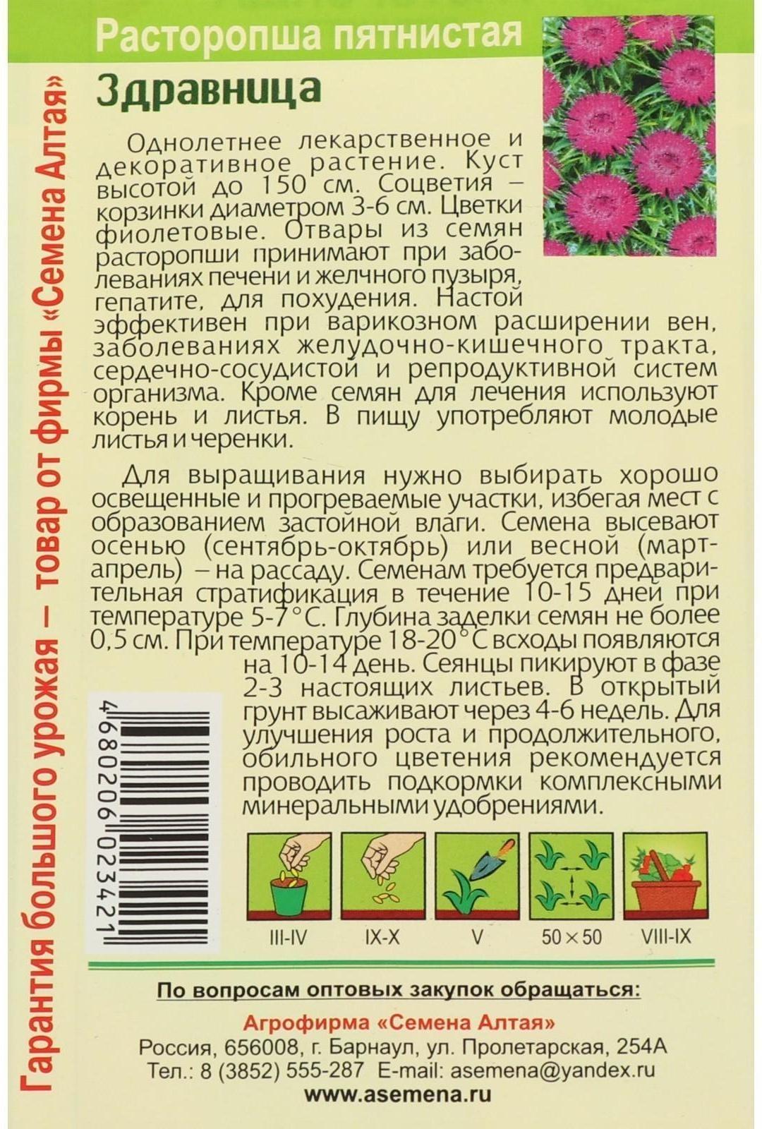 Семена  Расторопша пятнистая 