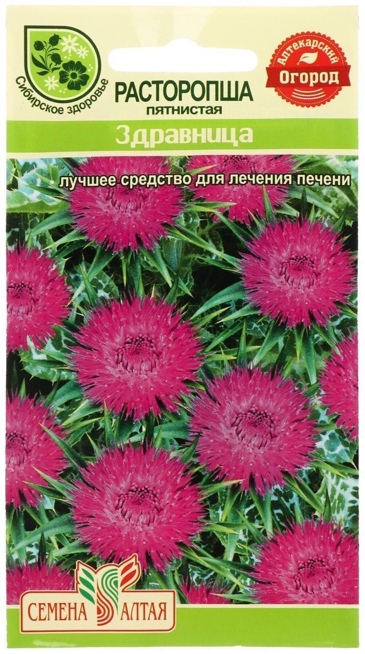 Семена  Расторопша пятнистая 