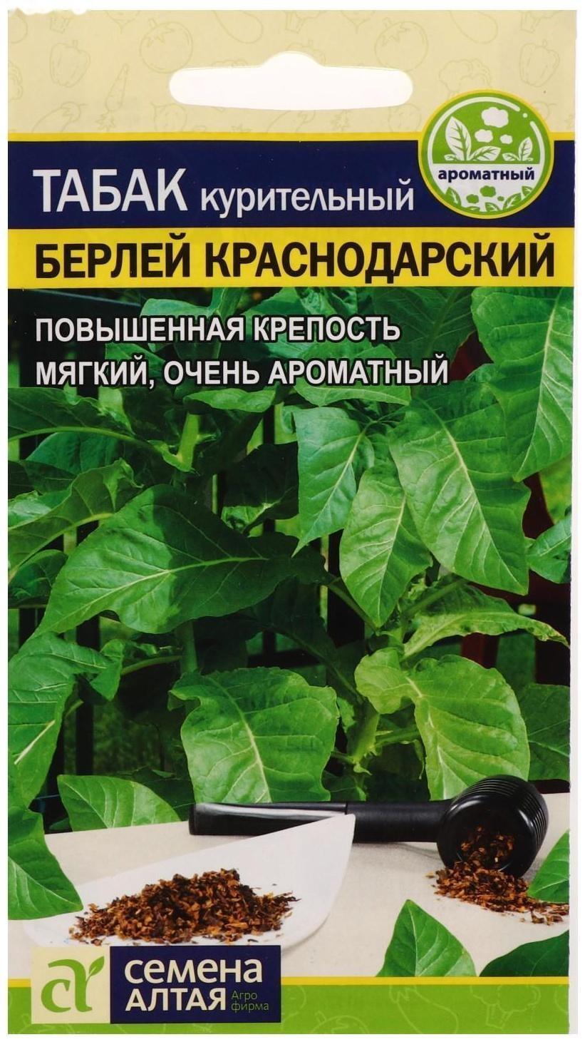 Семена  Табак 