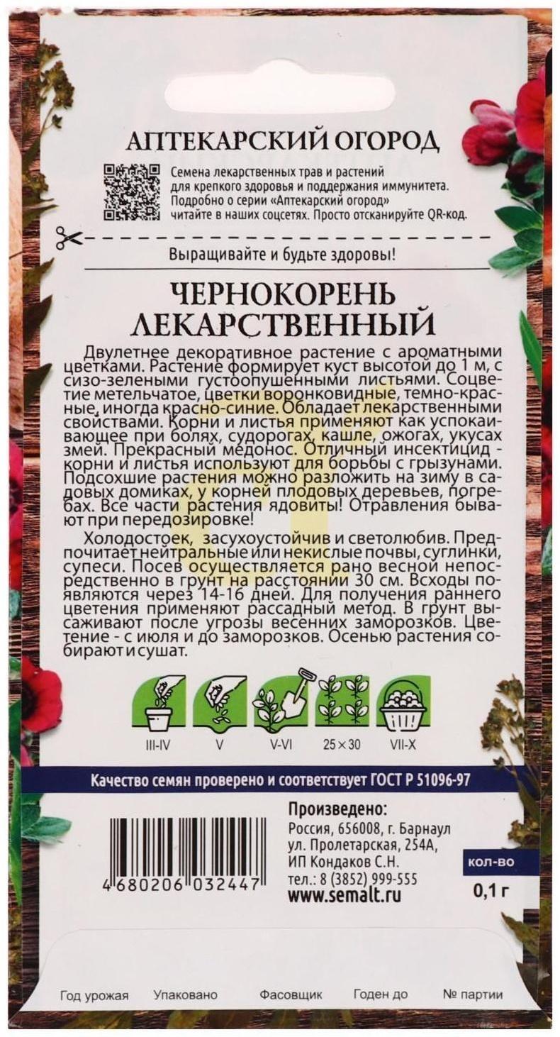 Семена цветов Чернокорень 