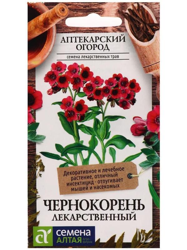 Семена цветов Чернокорень 