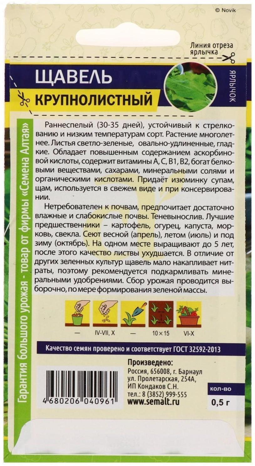 Семена  Щавель 