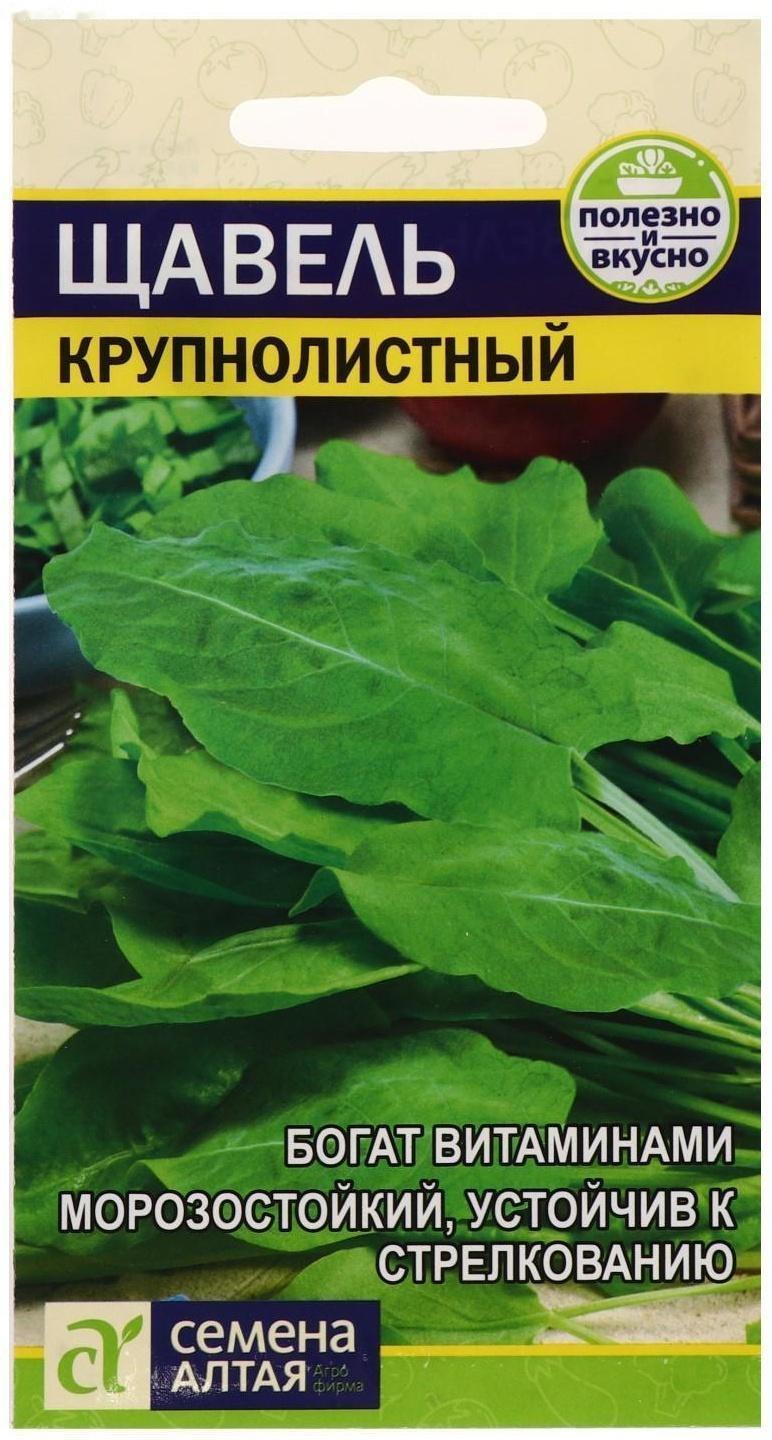 Семена  Щавель 