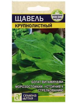 Семена  Щавель 