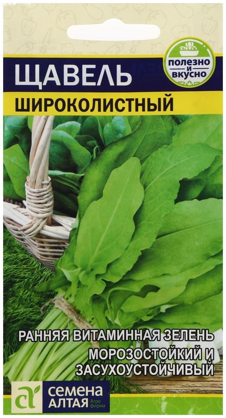 Семена  Щавель 