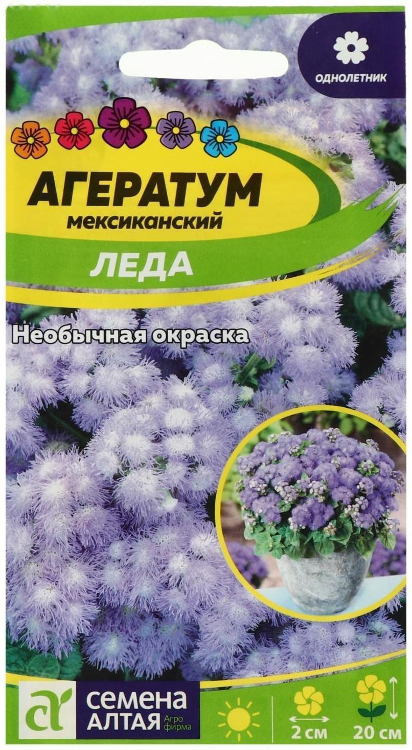 Семена цветов  Агератум 