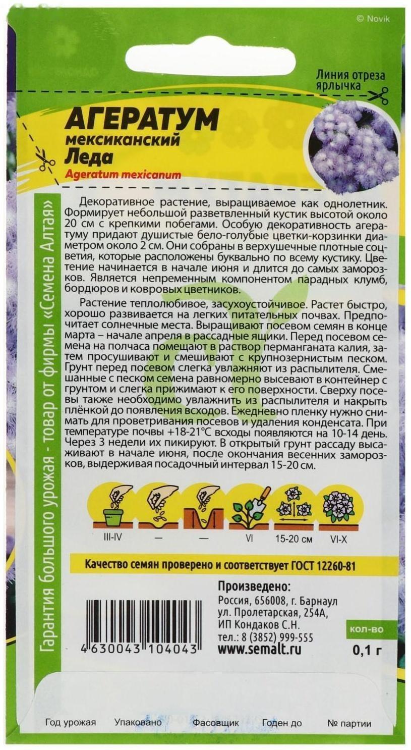 Семена цветов  Агератум 