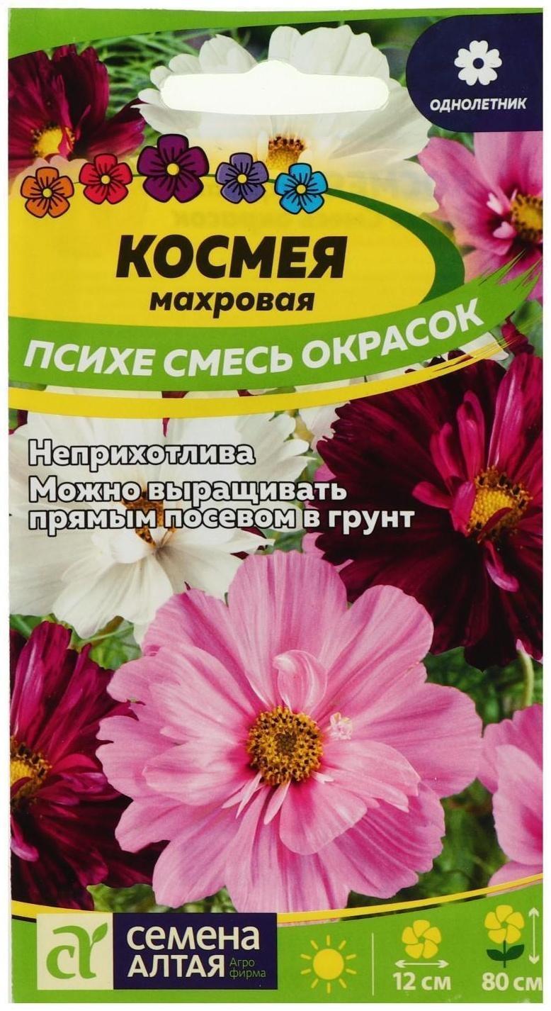 Семена цветов  Космея 