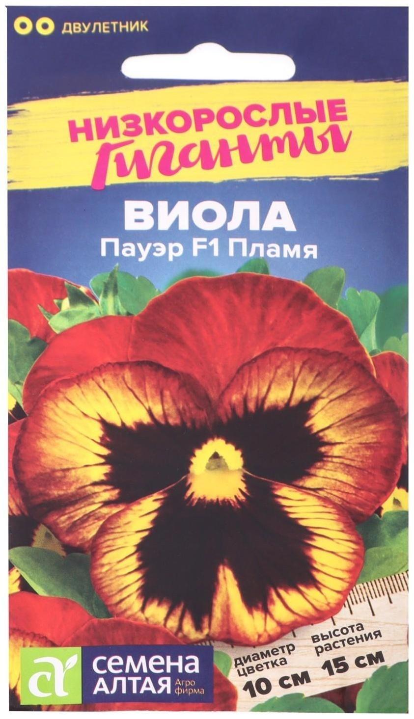 Семена цветов Виола 