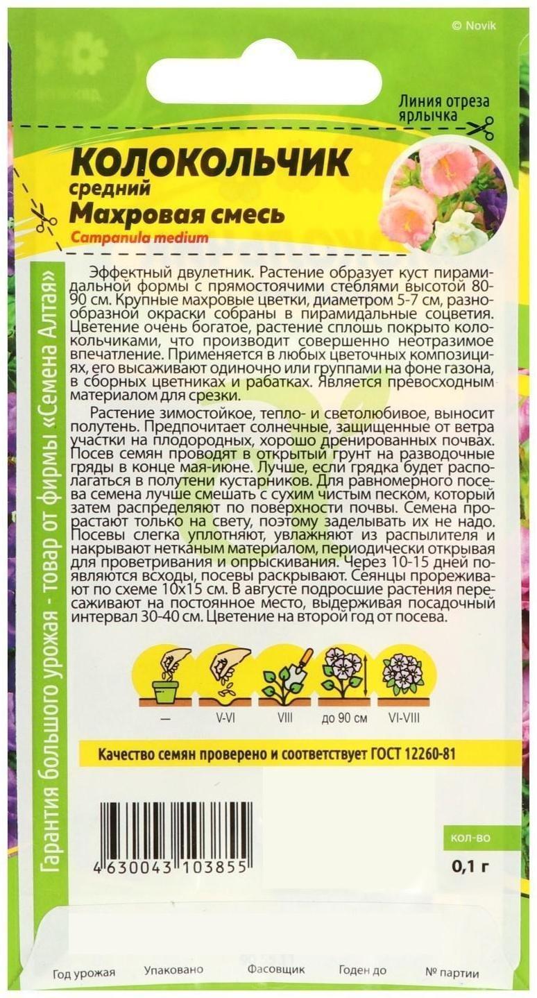 Семена цветов Колокольчик 