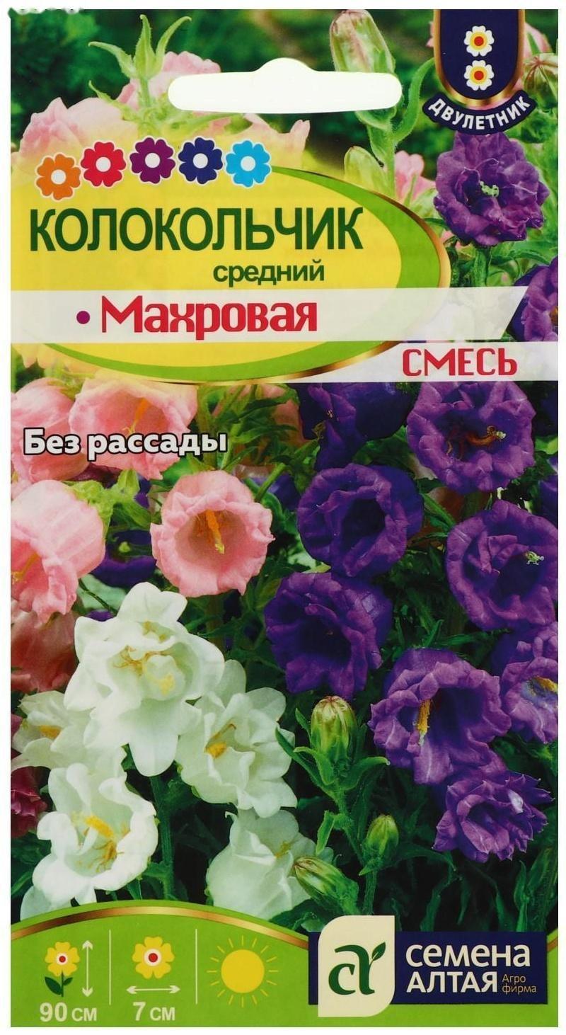 Семена цветов Колокольчик 