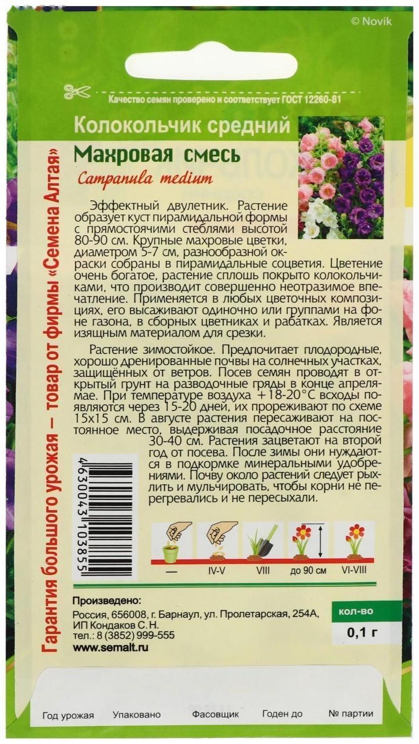 Семена цветов Колокольчик 