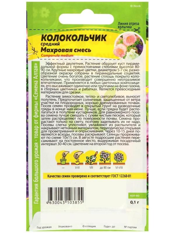 Семена цветов Колокольчик 