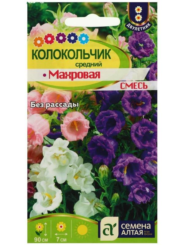Семена цветов Колокольчик 