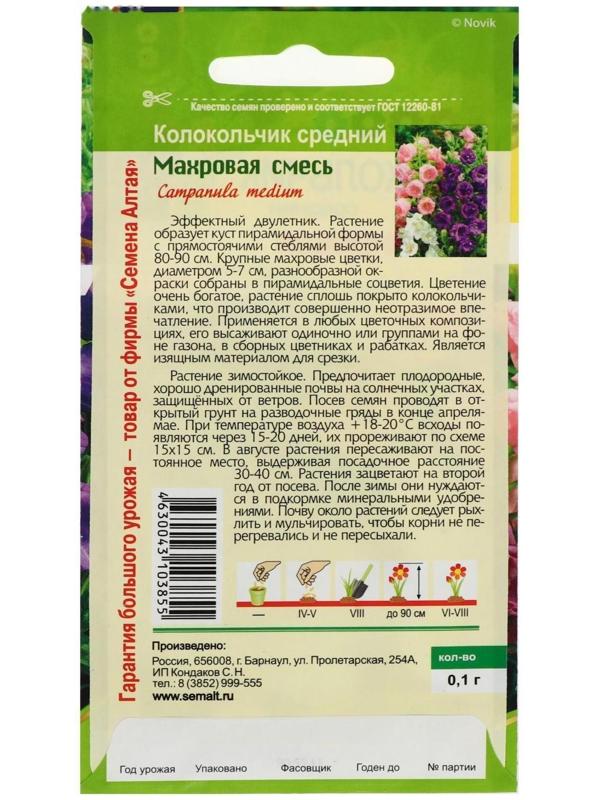 Семена цветов Колокольчик 