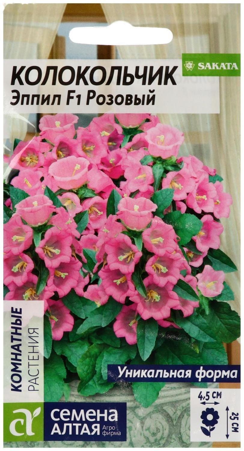 Семена цветов Колокольчик 