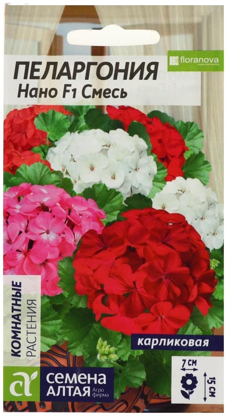 Семена цветов Пеларгония 