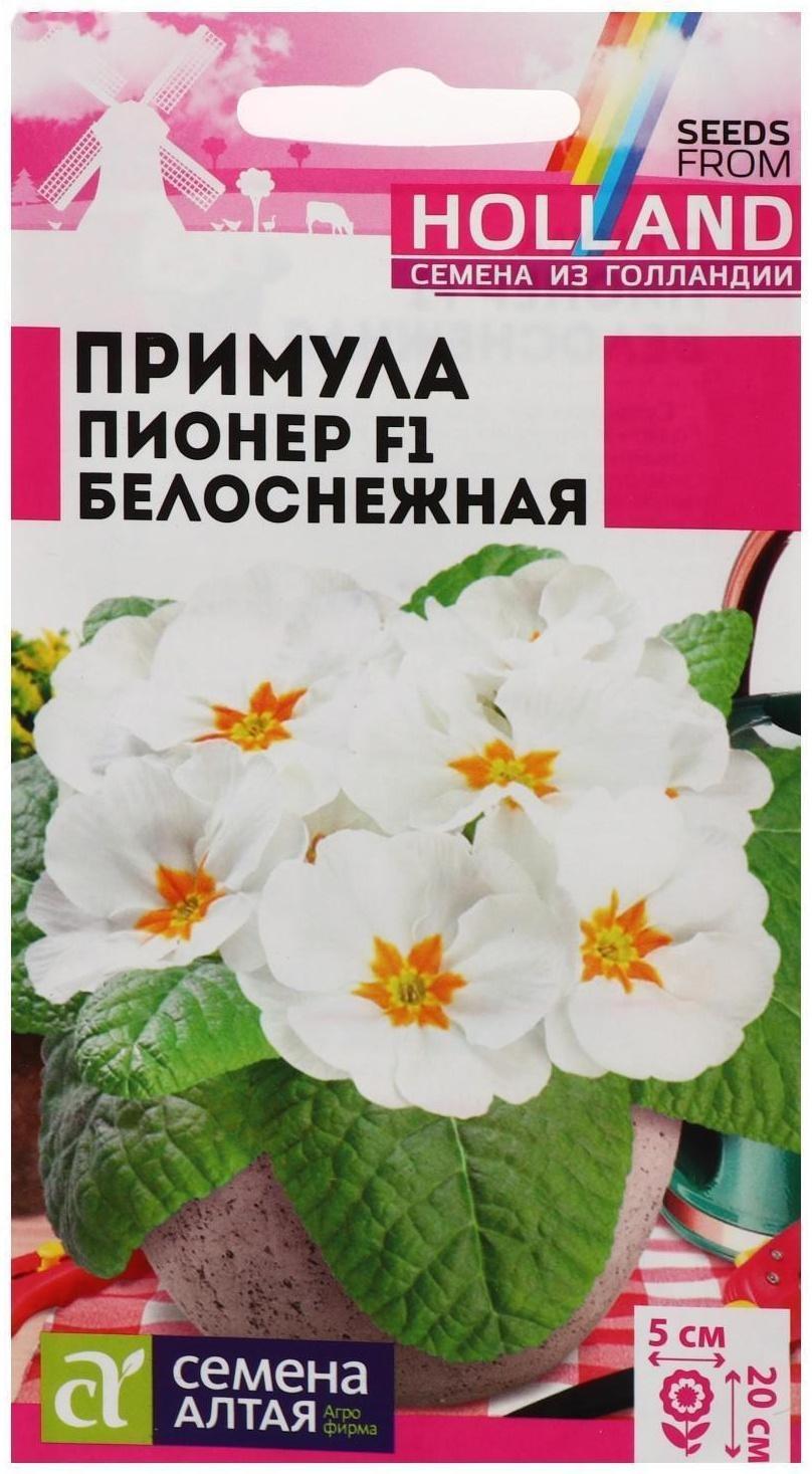 Семена цветов Примула Пионер 