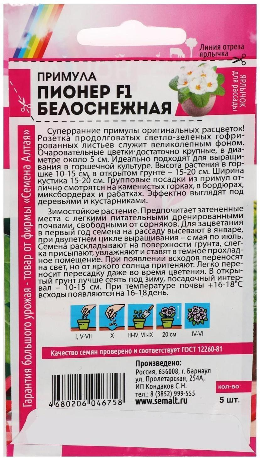 Семена цветов Примула Пионер 