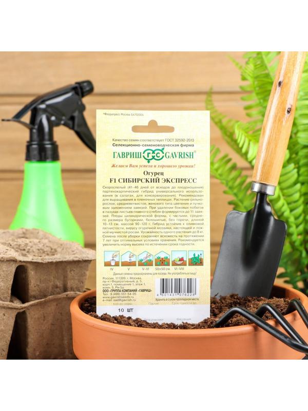 Семена Огурец 