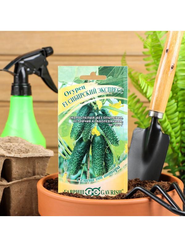 Семена Огурец 