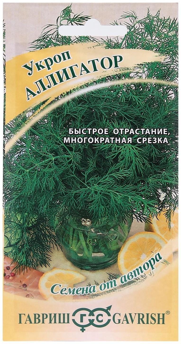 Семена Укроп 