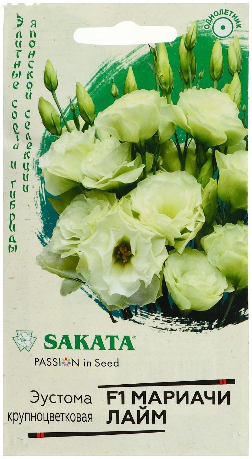 Семена цветов Эустома 