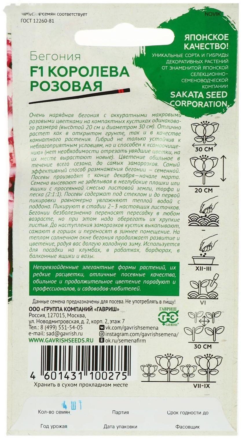 Семена цветов Бегония 