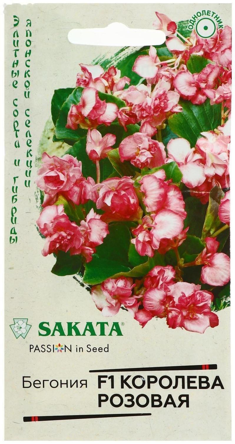 Семена цветов Бегония 