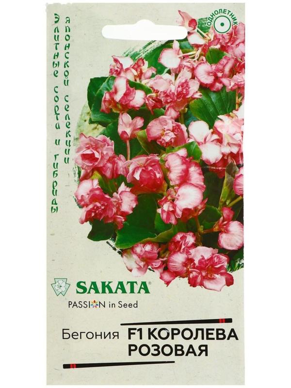 Семена цветов Бегония 