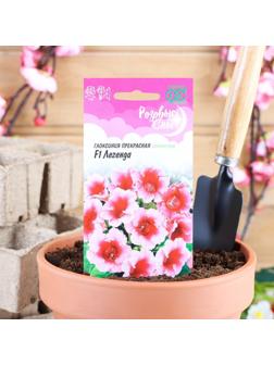 Семена цветов Глоксиния 