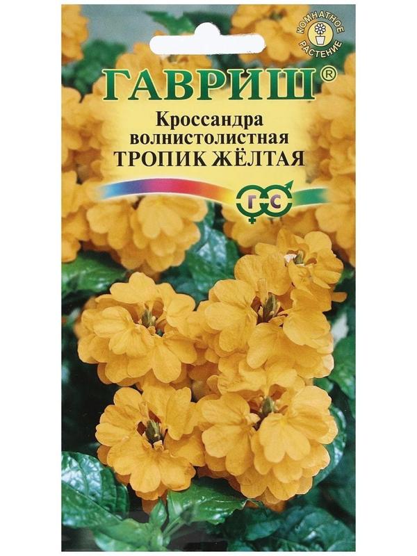 Семена цветов Кроссандра 