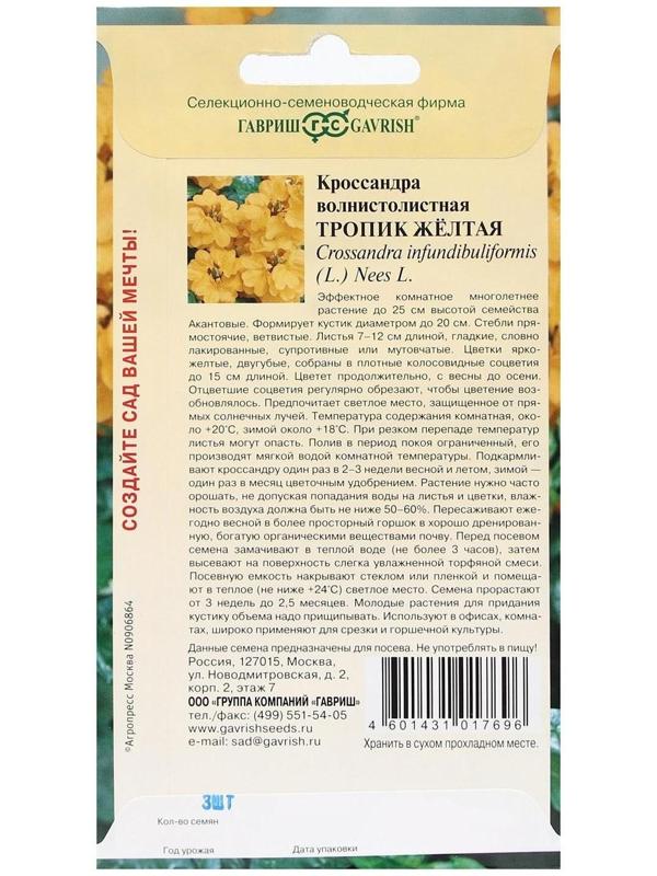 Семена цветов Кроссандра 