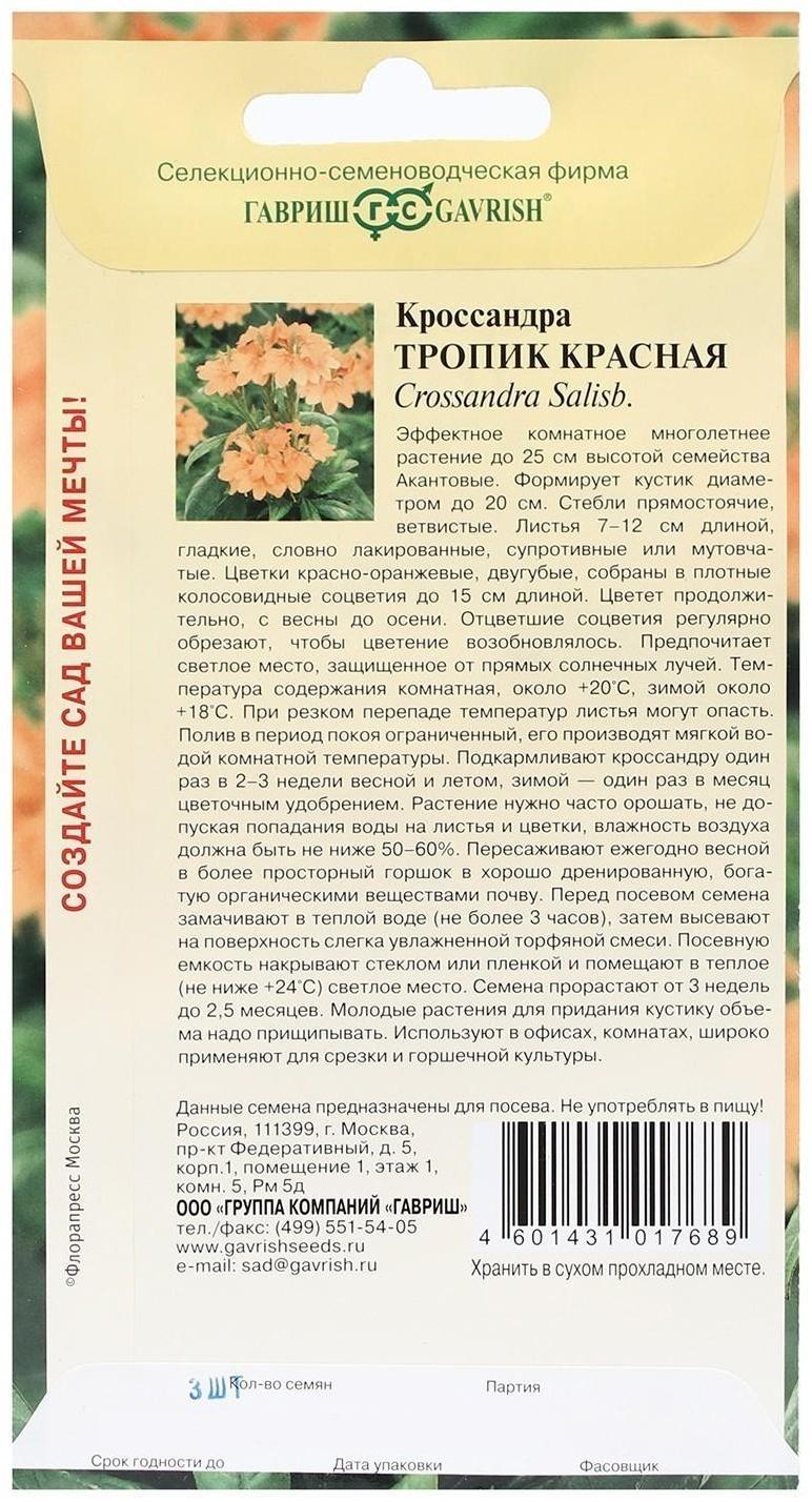 Семена цветов Кроссандра 