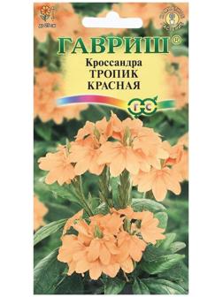 Семена цветов Кроссандра 