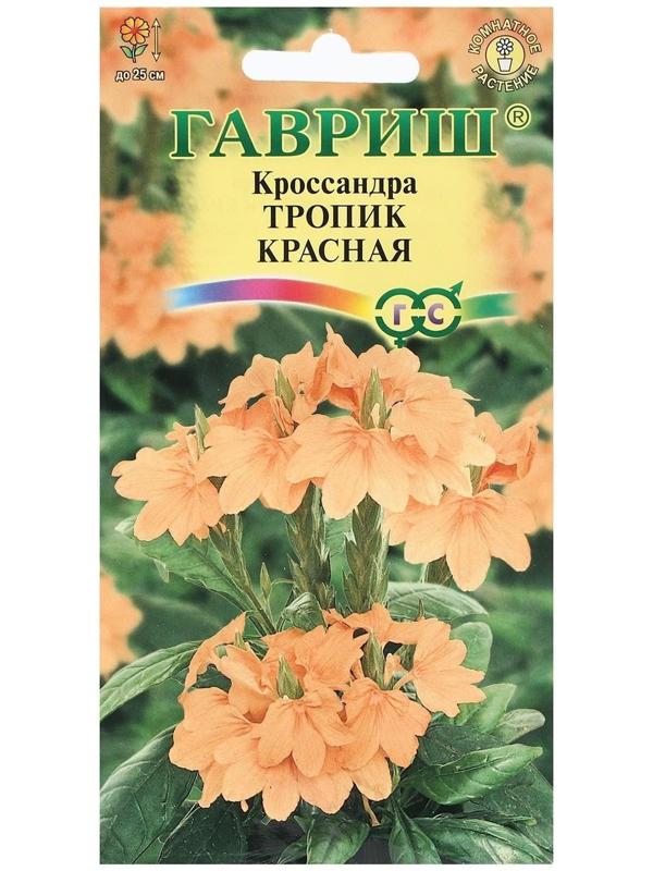 Семена цветов Кроссандра 