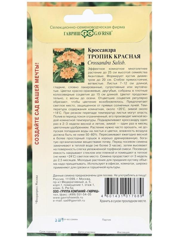 Семена цветов Кроссандра 