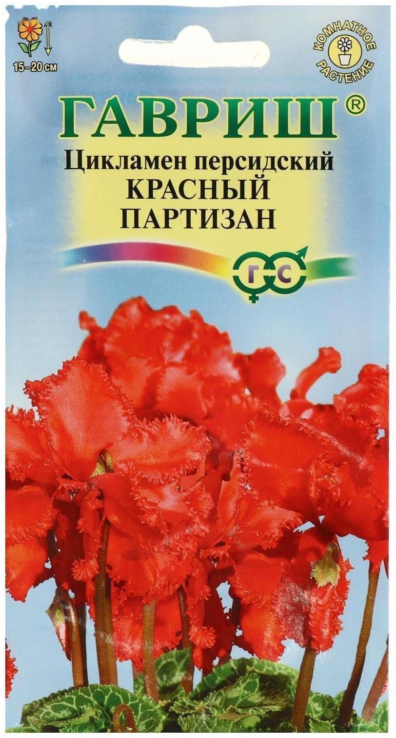 Семена цветов Цикламен 