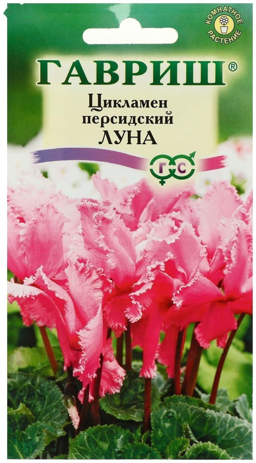 Семена цветов Цикламен 