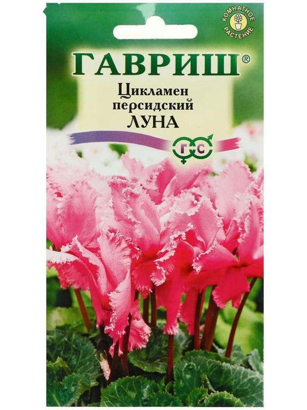 Семена цветов Цикламен 