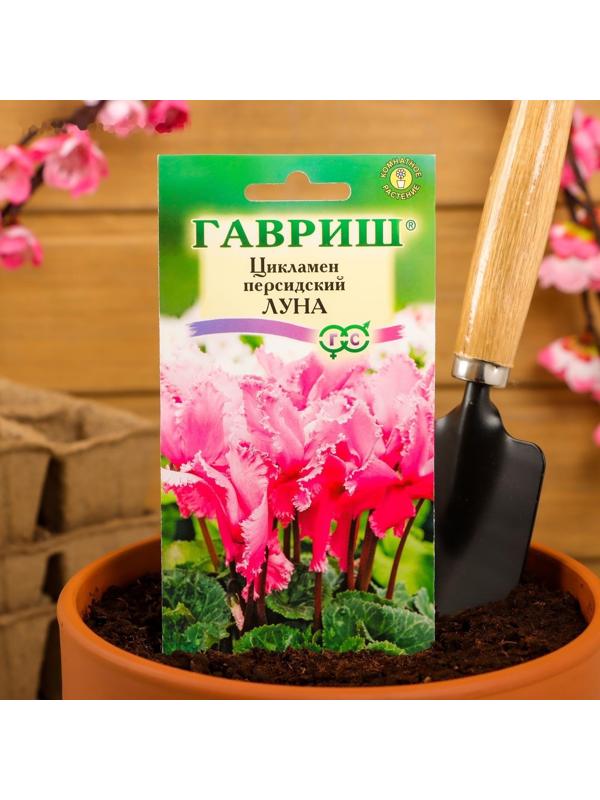 Семена цветов Цикламен 