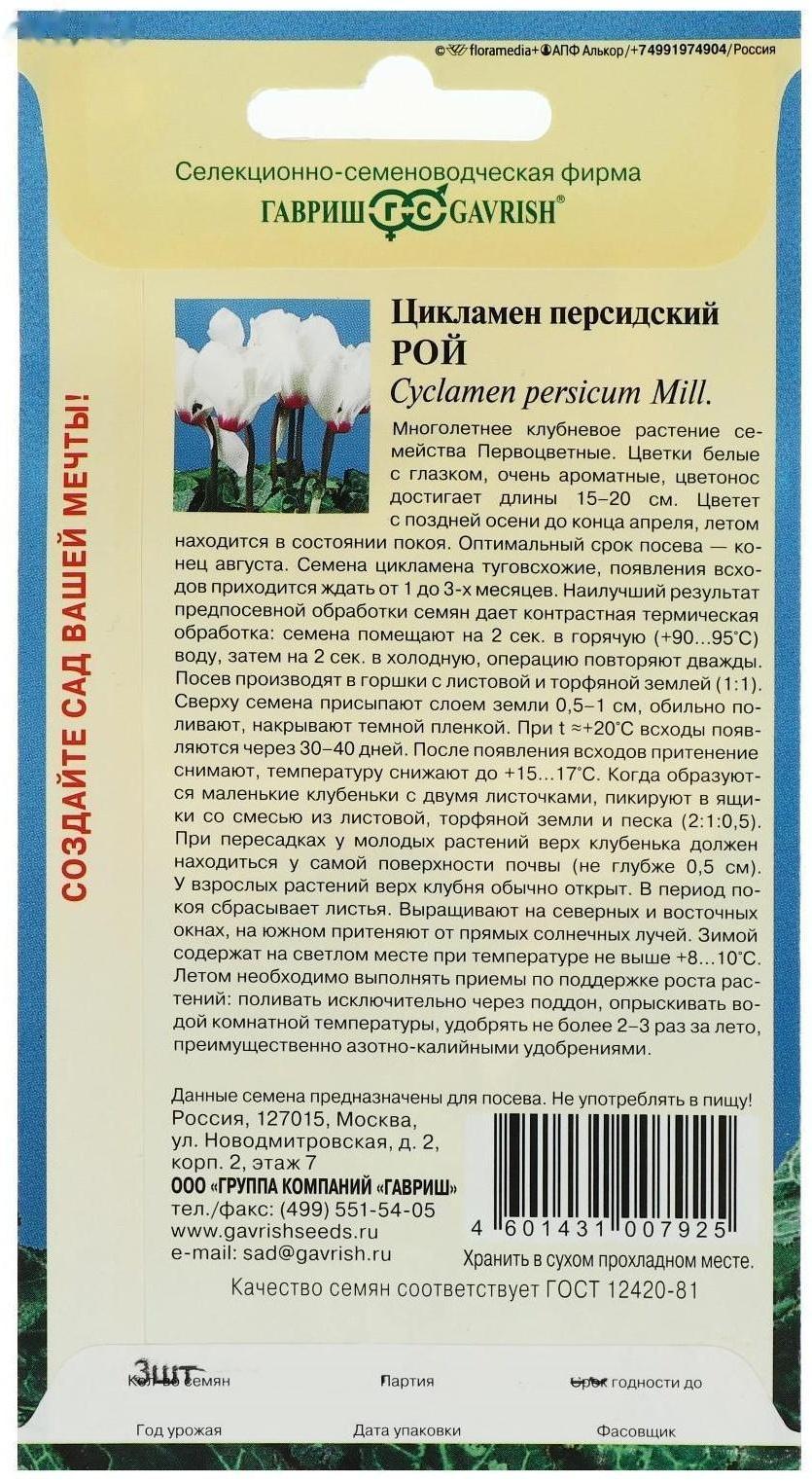 Семена цветов Цикламен 