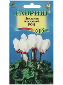 Семена цветов Цикламен 
