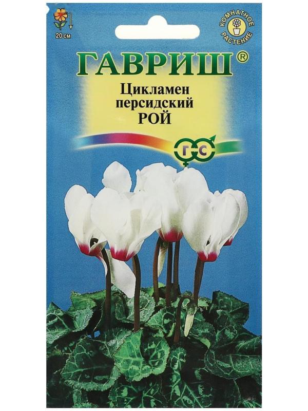 Семена цветов Цикламен 