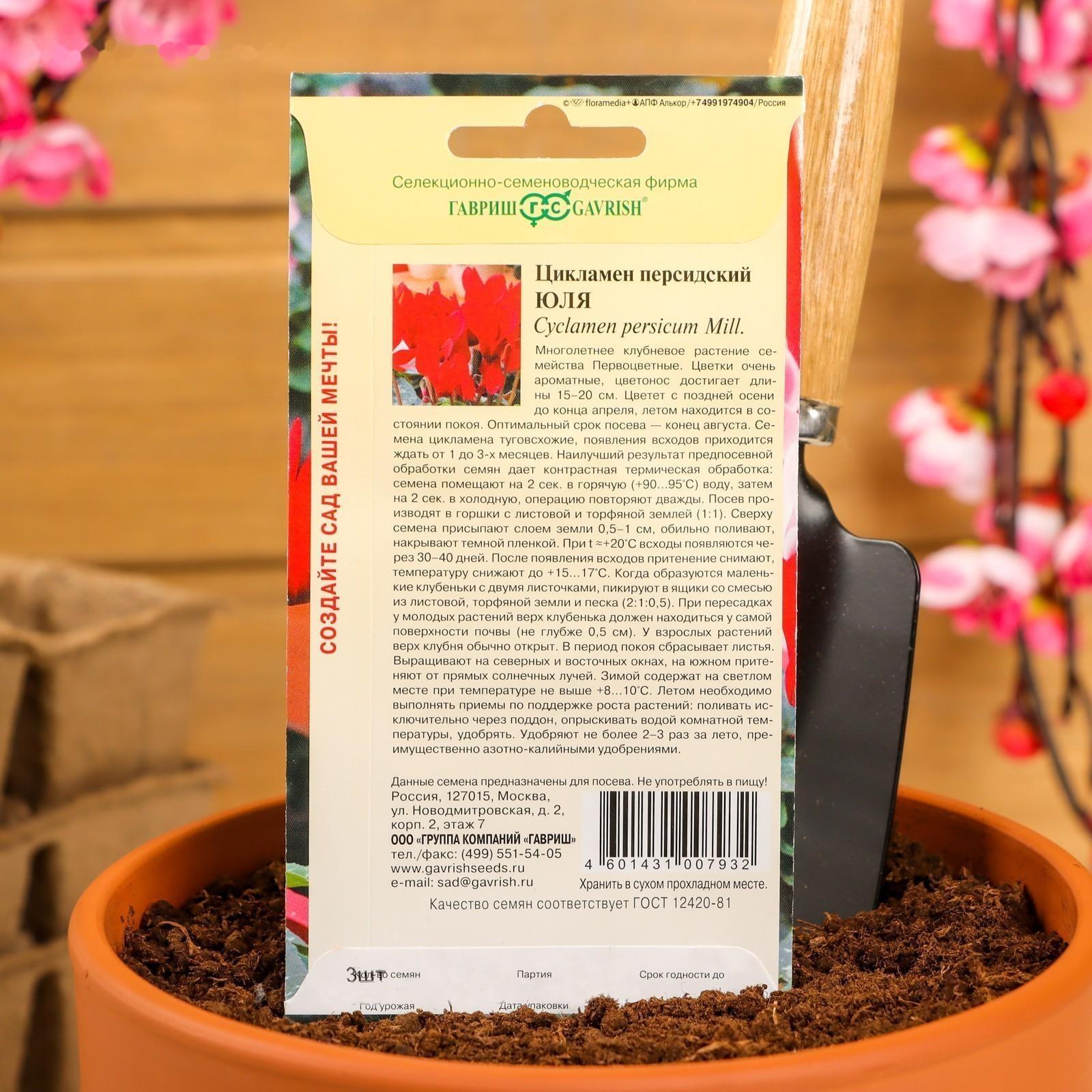 Семена цветов Цикламен 