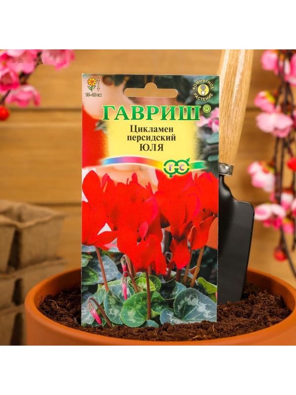 Семена цветов Цикламен 